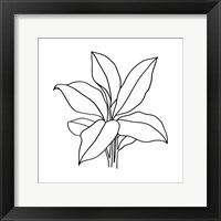 Framed 'Foliage Contour II' border=