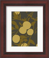 Framed Golden Satsuma I