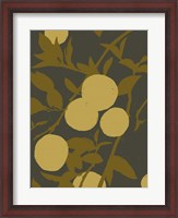 Framed Golden Satsuma I
