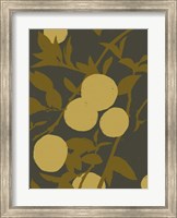 Framed Golden Satsuma I