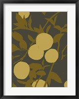 Golden Satsuma I Framed Print