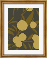 Framed Golden Satsuma II