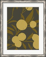 Framed Golden Satsuma II