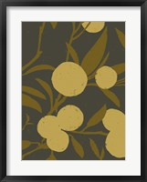 Golden Satsuma II Framed Print