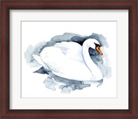 Framed Silverlake Swan I