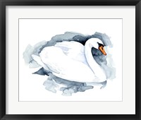 Framed Silverlake Swan I