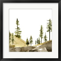 Pine Hill II Framed Print