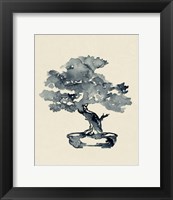 Framed Indigo Bonsai III