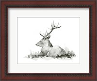 Framed Recumbent Stag II