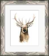 Framed Watercolor Elk Portrait I