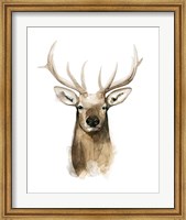 Framed Watercolor Elk Portrait I