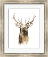 Framed Watercolor Elk Portrait I