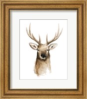 Framed Watercolor Elk Portrait II