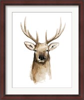 Framed Watercolor Elk Portrait II
