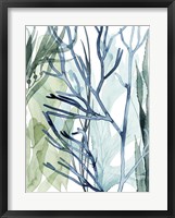 Sea Leaves II Framed Print