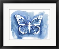 Framed Butterfly Inkling I