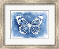 Framed Butterfly Inkling II