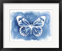 Framed Butterfly Inkling II