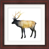 Framed 'Elk Aglow I' border=
