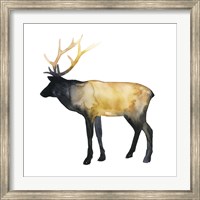 Framed Elk Aglow I