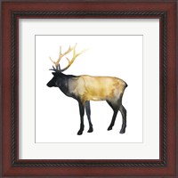 Framed Elk Aglow I