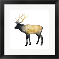 Framed Elk Aglow I