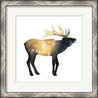 Framed 'Elk Aglow II' border=