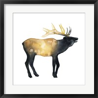 Framed Elk Aglow II