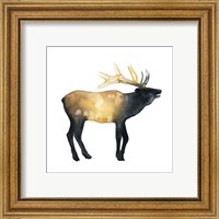 Framed 'Elk Aglow II' border=