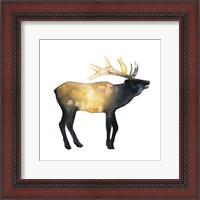 Framed Elk Aglow II