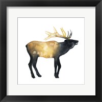 Elk Aglow II Framed Print