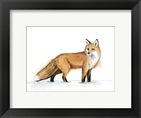 Framed Snow Fox I