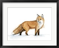 Framed Snow Fox I