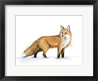 Framed Snow Fox I