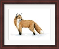 Framed Snow Fox II