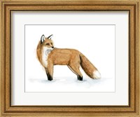 Framed Snow Fox II