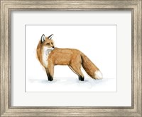 Framed Snow Fox II