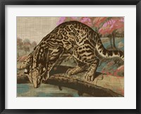 Framed Urban Jungle Cat I