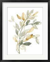 Sage & Sienna Leaves II Framed Print