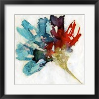 Splashed Flower II Framed Print