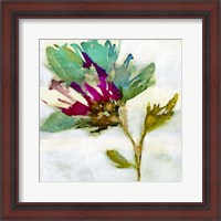 Framed 'Fuchsia Splash II' border=