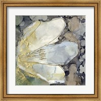 Framed 'Abstracted Lily II' border=