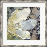 Framed Abstracted Lily II