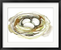 Framed Watercolor Nest I
