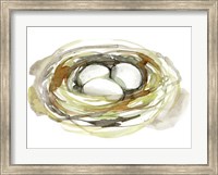 Framed Watercolor Nest I