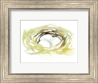 Framed Watercolor Nest II