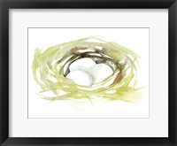 Framed Watercolor Nest II