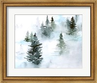 Framed Foggy Evergreens I