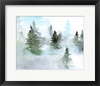 Framed Foggy Evergreens II