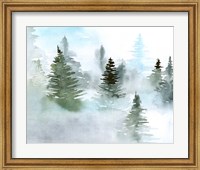 Framed Foggy Evergreens II